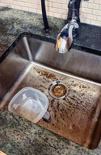 https://blockeddrainsbeldon.com.au/uploads/2025/07/blocked-drains-11034.jpg