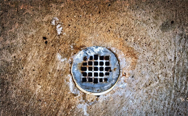 https://blockeddrainsbeldon.com.au/uploads/2025/07/blocked-shower-drains-20432.jpg