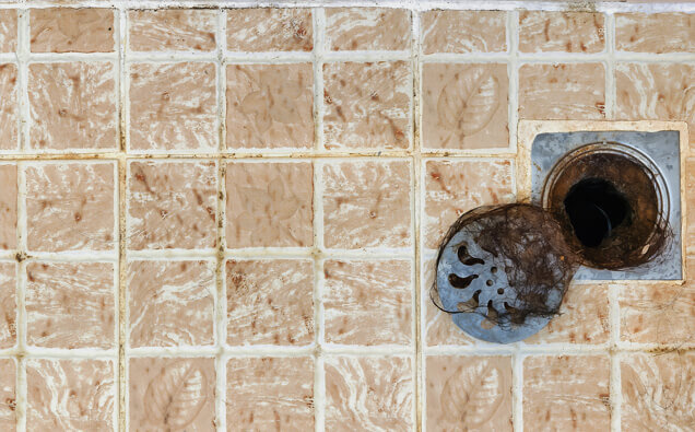 https://blockeddrainsbeldon.com.au/uploads/2025/07/blocked-shower-drains-91576.jpg