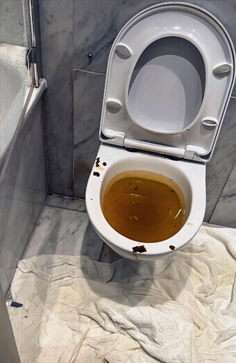 https://blockeddrainsbeldon.com.au/uploads/2025/07/blocked-toilet-27793.jpg
