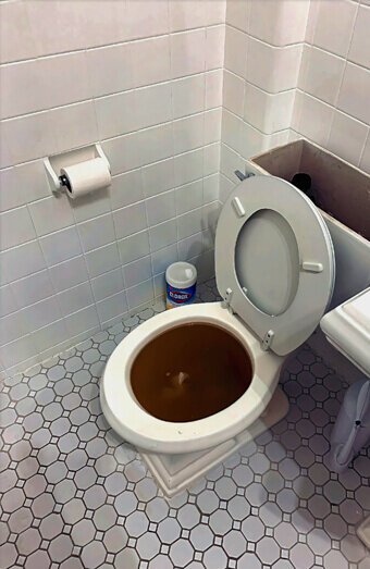 https://blockeddrainsbeldon.com.au/uploads/2025/07/blocked-toilet-42230.jpg