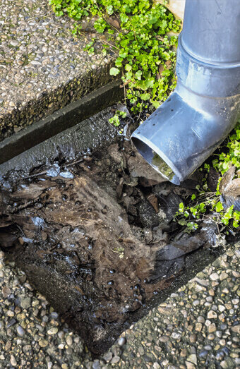 https://blockeddrainsbeldon.com.au/uploads/2025/07/hero-blocked-sewers-20143.jpg
