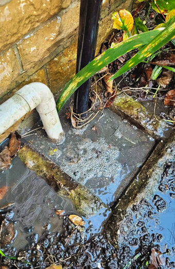 https://blockeddrainsbeldon.com.au/uploads/2025/07/hero-blocked-sewers-51219.jpg
