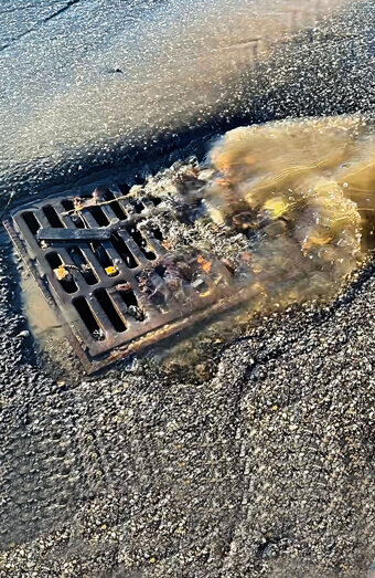 https://blockeddrainsbeldon.com.au/uploads/2025/07/stormwater-drains-40331.jpg
