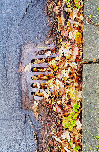 https://blockeddrainsbeldon.com.au/uploads/2025/07/stormwater-drains-48051.jpg