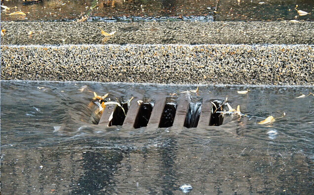 https://blockeddrainsbeldon.com.au/uploads/2025/07/stormwater-drains-54996.jpg