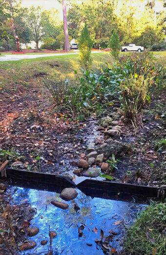 https://blockeddrainsbeldon.com.au/uploads/2025/07/stormwater-drains-72831.jpg