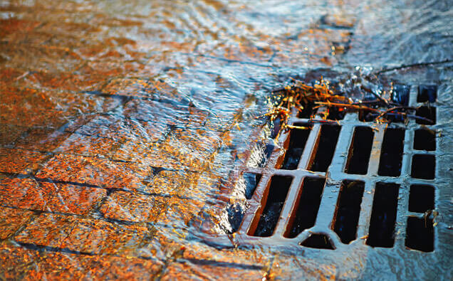https://blockeddrainsbeldon.com.au/uploads/2025/07/stormwater-drains-91028.jpg
